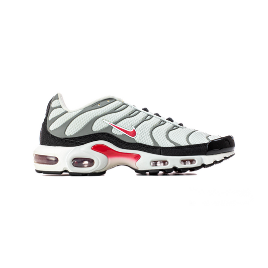 Air Max TN Plus 'Photon Dust Varsity Red' (2022)